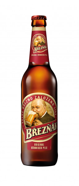 Breznak Pils 20 x 0,5l