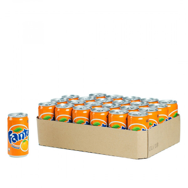 Fanta Dose 24 x 0,25l