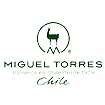 Miguel Torres