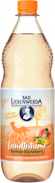 Bad Liebenwerda Landträume Aprikose-Stachelbeere-Apfelblüte 12 x 1l